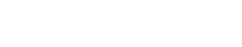 DDI Logo